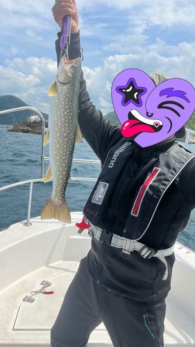 釣果