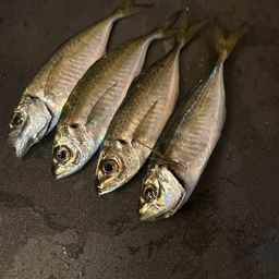 アジ