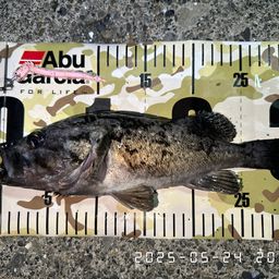 クロソイ