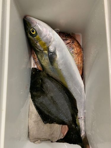 釣果