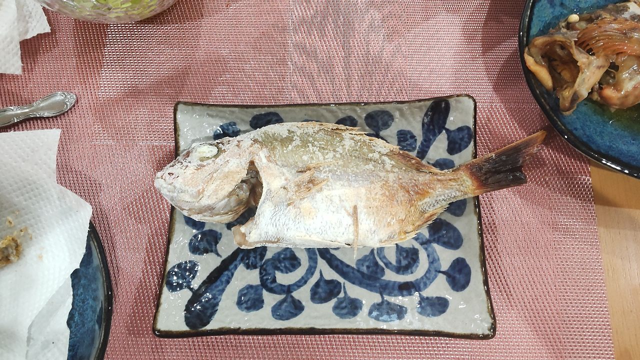 マダイ