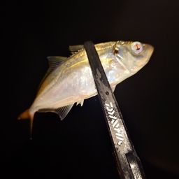 アジ