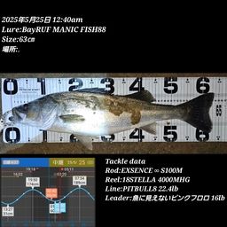 シーバス
