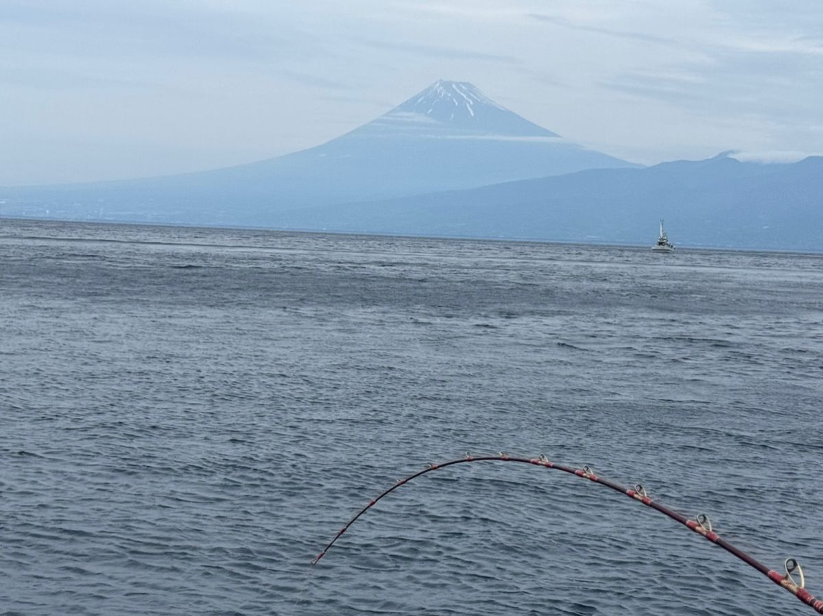 kunchanさんの釣果 1枚目の画像