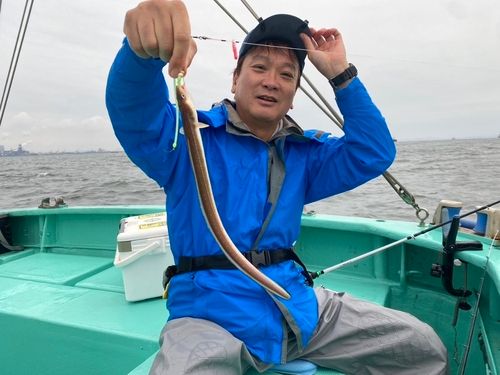 マアナゴの釣果