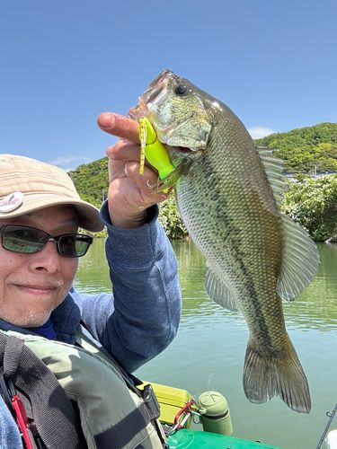 ラージマウスバスの釣果