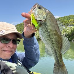 ラージマウスバス