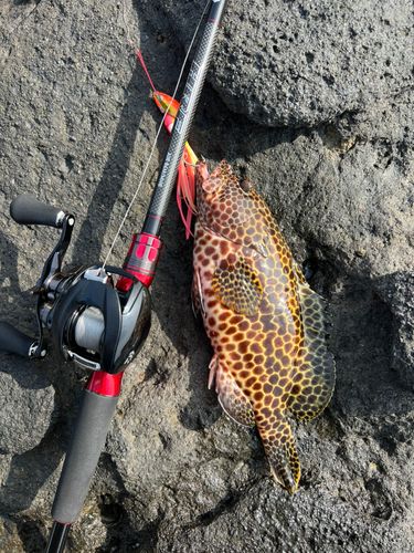 釣果