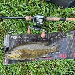 スモールマウスバス