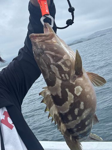 扇ヶ浜