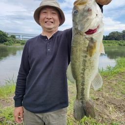 ラージマウスバス