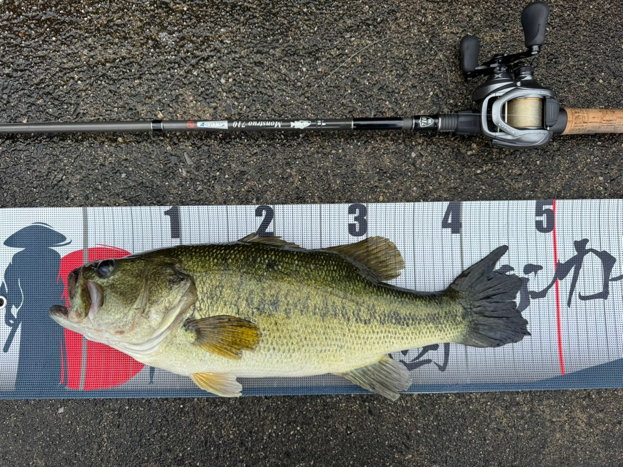 TULALA 18モンストロ 710の最安値・インプレ・釣果 | 本音の口コミが