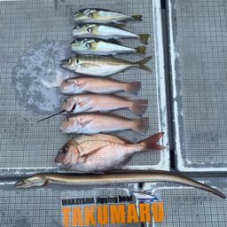 アマダイ