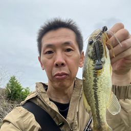 ブラックバス