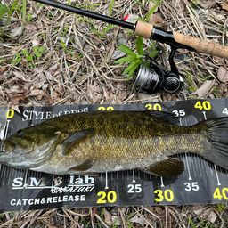 スモールマウスバス