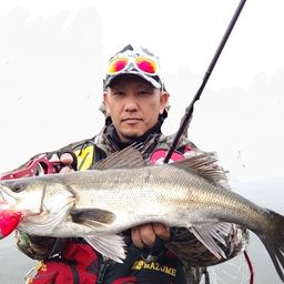 シーバス