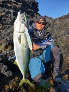 ヒラマサの釣果
