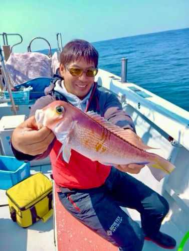 アカアマダイの釣果