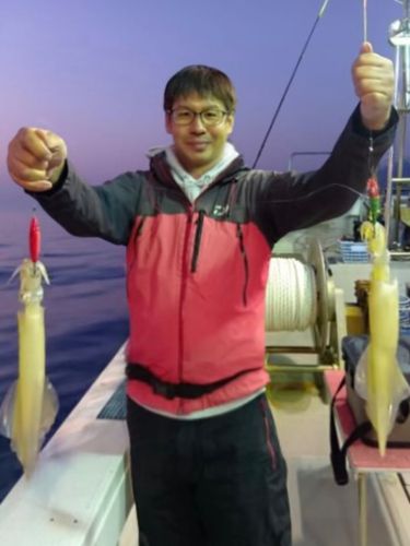 ヤリイカの釣果