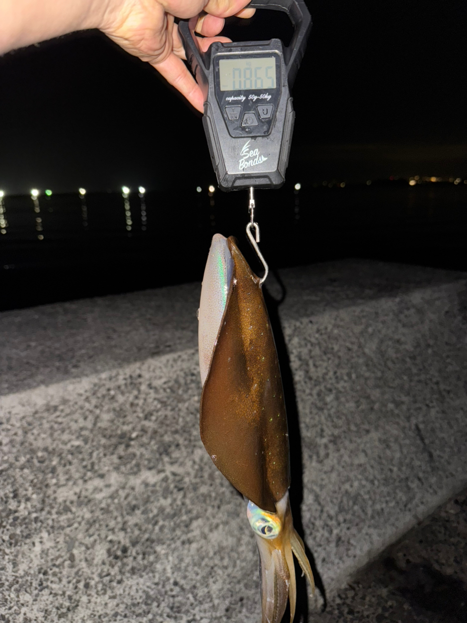 Amazon | ダイワ(DAIWA) スピニングリール(ヤエン) 19 アオリ