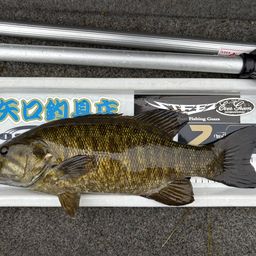 スモールマウスバス