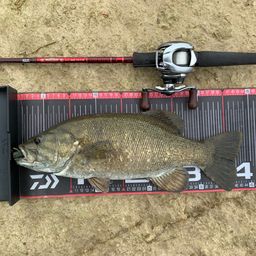 スモールマウスバス