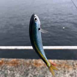 タカベ