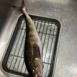 ホッケ