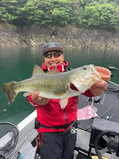 ラージマウスバスの釣果