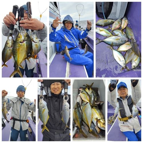 シマアジの釣果