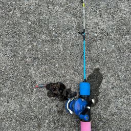 タケノコメバル