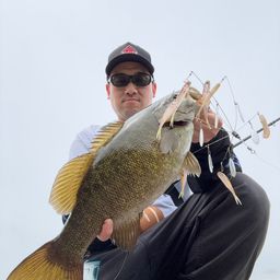 スモールマウスバス