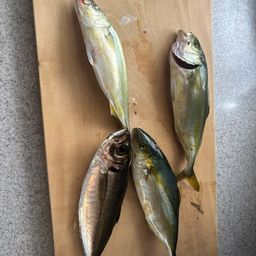 アジ