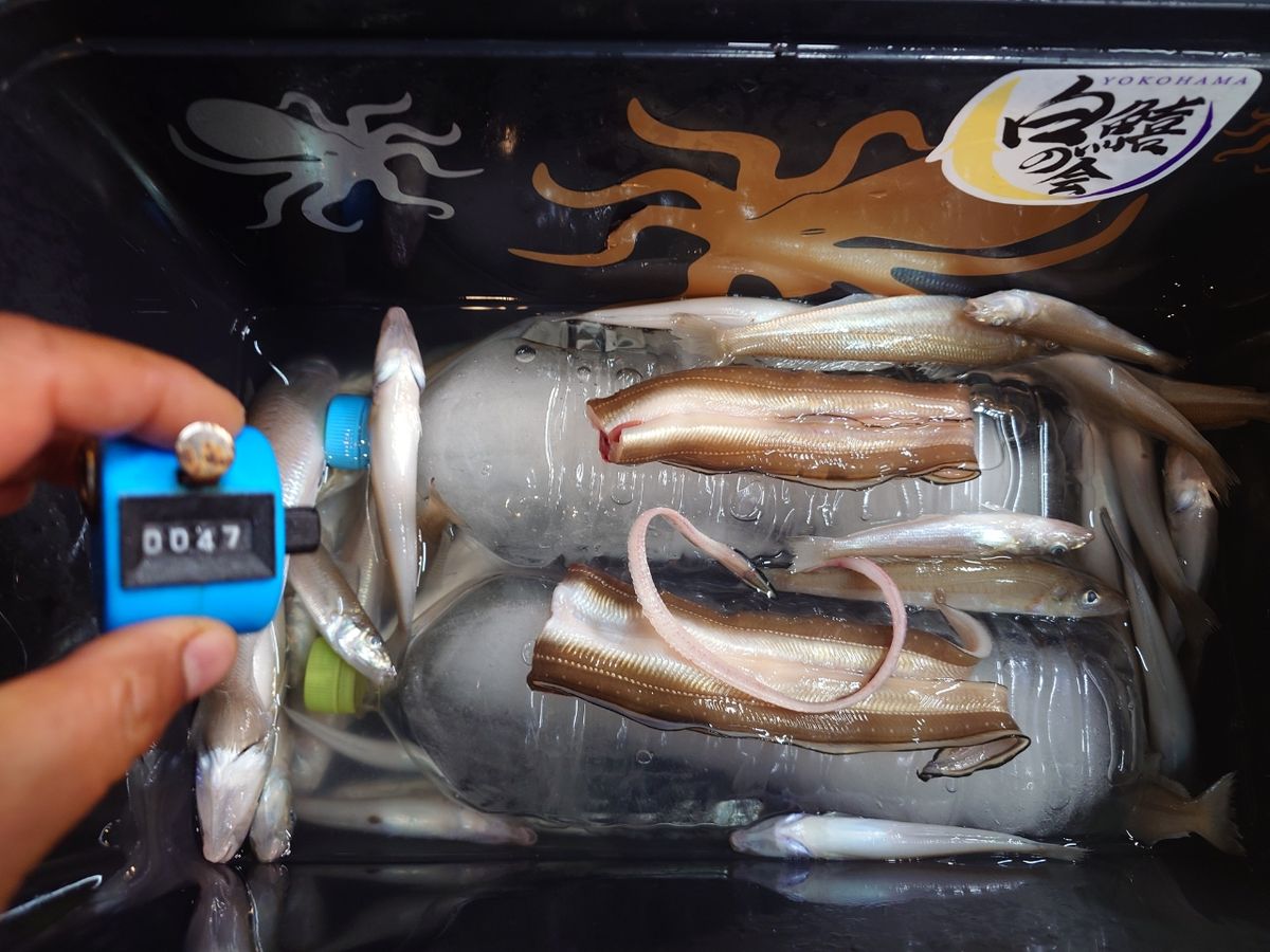 変態様さんの釣果 1枚目の画像