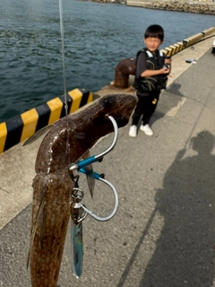 エソの釣果