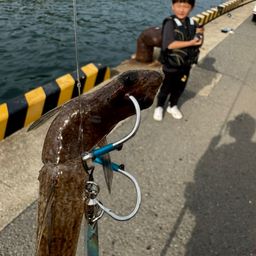 エソ