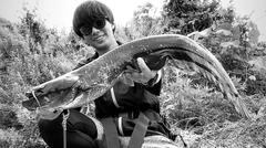 ナマズの釣果