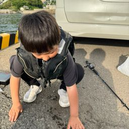 カサゴ
