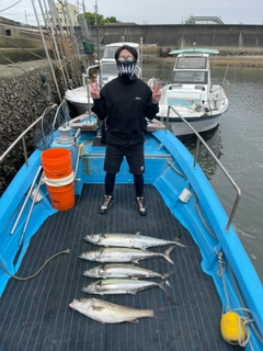 サワラの釣果