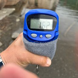 ブラックバス
