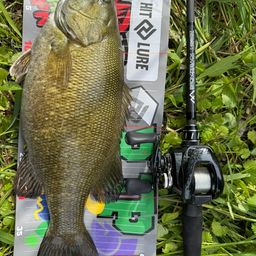 スモールマウスバス