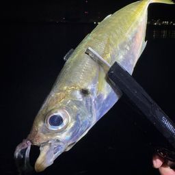 アジ