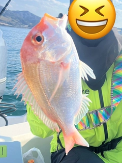 レンコダイの釣果