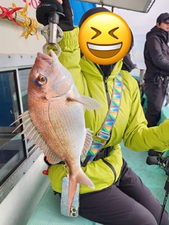 マダイの釣果