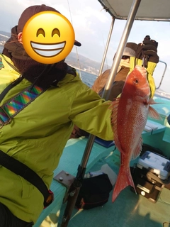 マダイの釣果