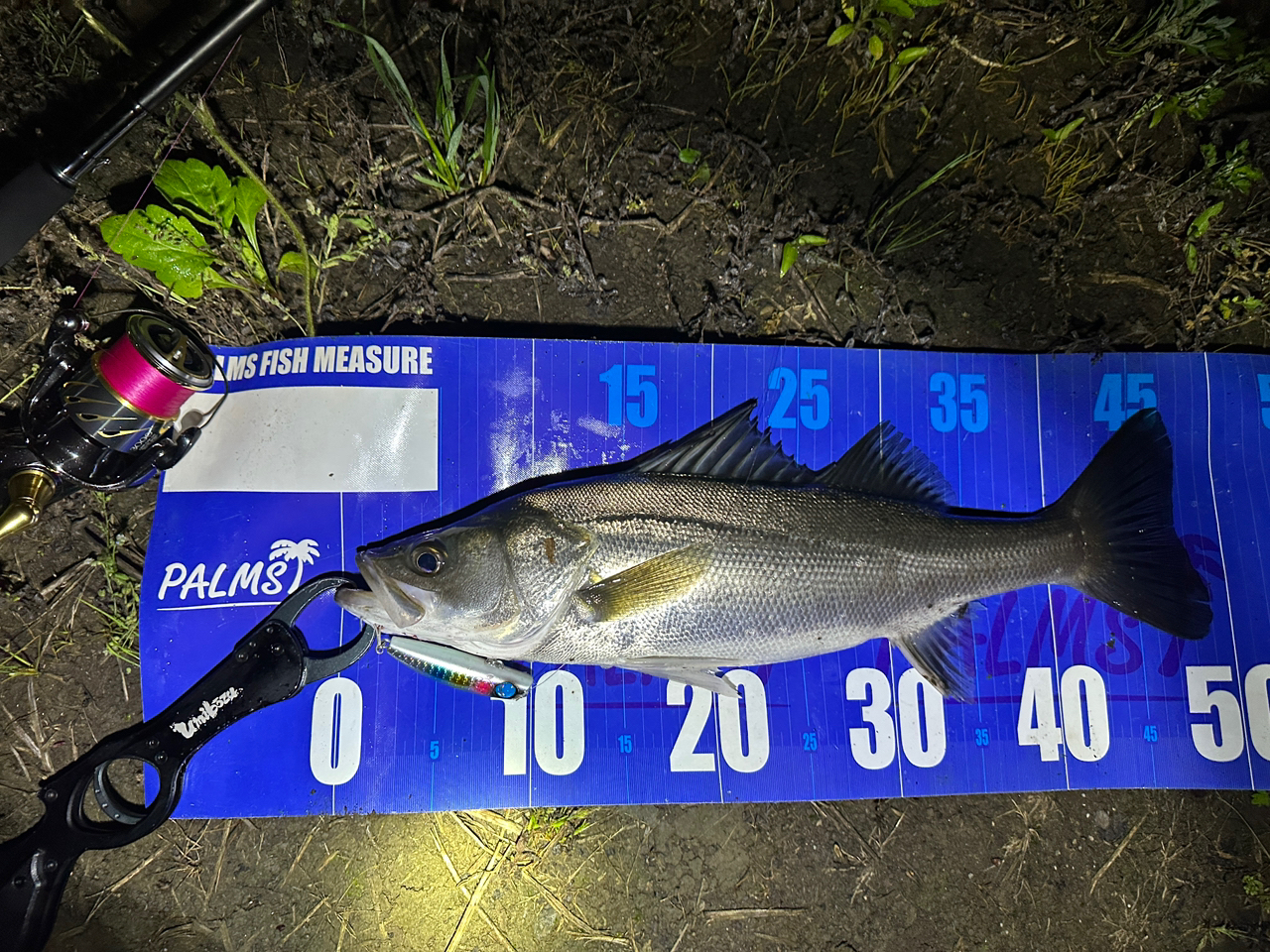 シマノ　17エクスセンスインフィニティ　S900ML/RF シマノ(SHIMANO) エクスセンス ∞(インフィニティ) S900MLRF (お