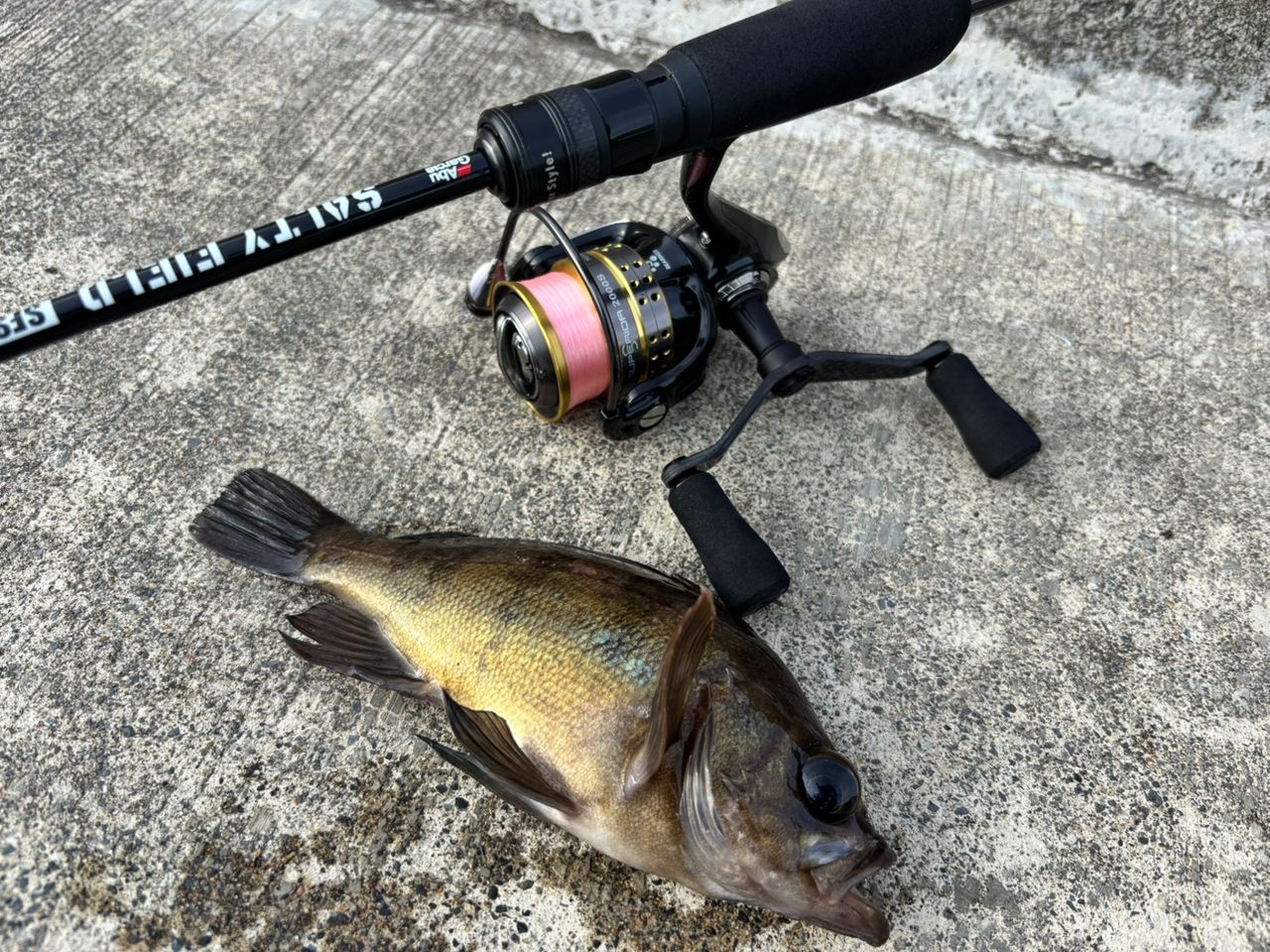 Abu Garcia　ソルティーフィールド　スピニングロッド　662UL SALTYFIELD(ソルティーフィールド）｜AbuGarcia｜釣具の総合