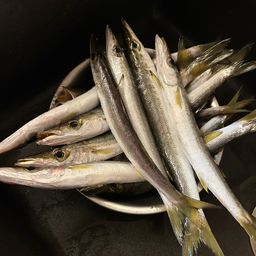 カマス