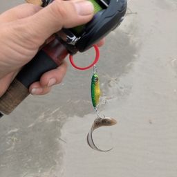 シタビラメ