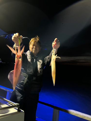 ケンサキイカの釣果